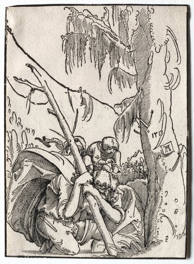 San Cristóbal de Albrecht Altdorfer
