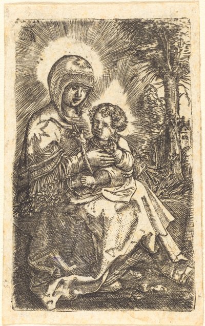 La "Bella Virgen" de Ratisbona en un paisaje de Albrecht Altdorfer
