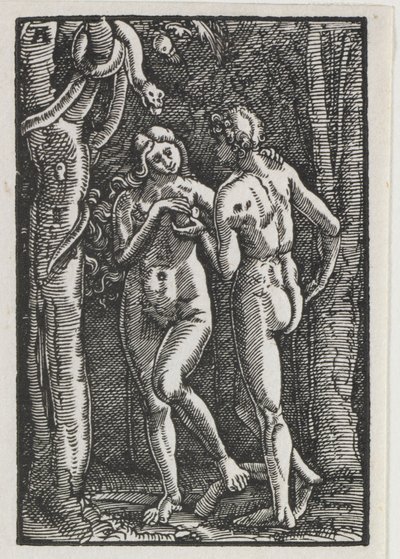 La caída y redención del hombre: Adán y Eva comiendo el fruto prohibido de Albrecht Altdorfer