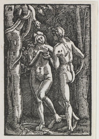 La caída y redención del hombre: Adán y Eva comiendo el fruto prohibido, c. 1513 de Albrecht Altdorfer