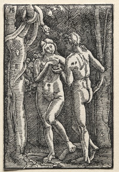 La Caída y Redención del Hombre: Adán y Eva Comiendo el Fruto Prohibido, c. 1515 de Albrecht Altdorfer