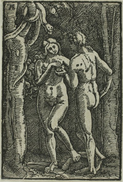 La caída del hombre, de La caída y redención del hombre de Albrecht Altdorfer