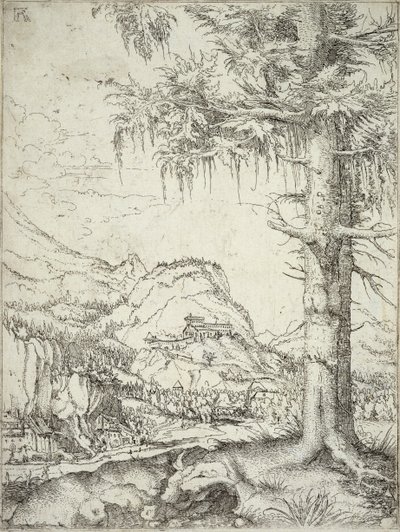 El Gran Abeto, c.1520 de Albrecht Altdorfer
