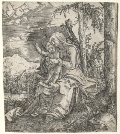 La Virgen en un paisaje, c. 1515 de Albrecht Altdorfer