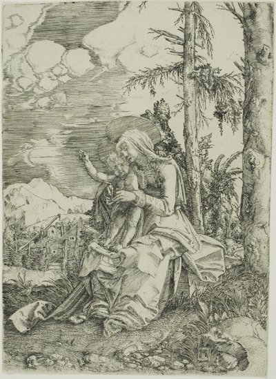 La Virgen con el Niño Bendiciendo en un paisaje de Albrecht Altdorfer