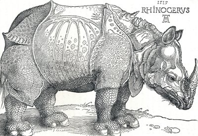 Un Rinoceronte de Albrecht Dürer