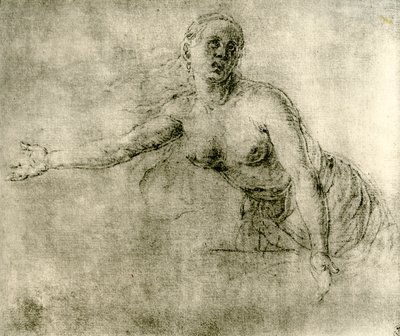 Un estudio, 1913 de Albrecht Dürer