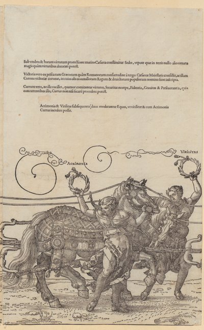  de Albrecht Dürer