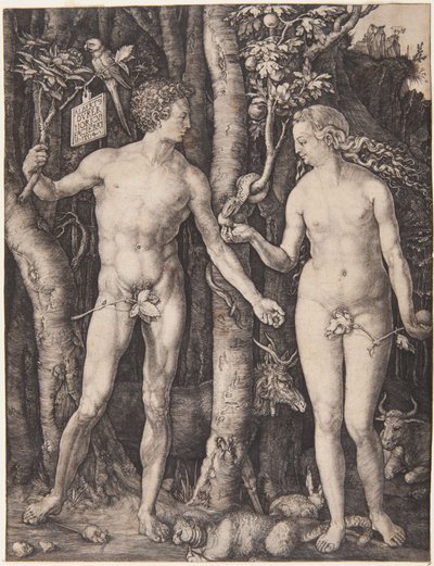  de Albrecht Dürer