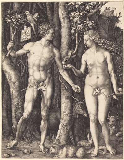  de Albrecht Dürer