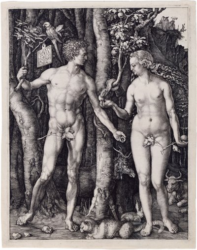  de Albrecht Dürer