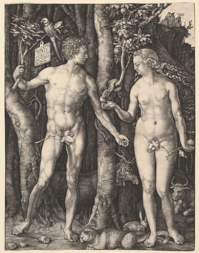  de Albrecht Dürer
