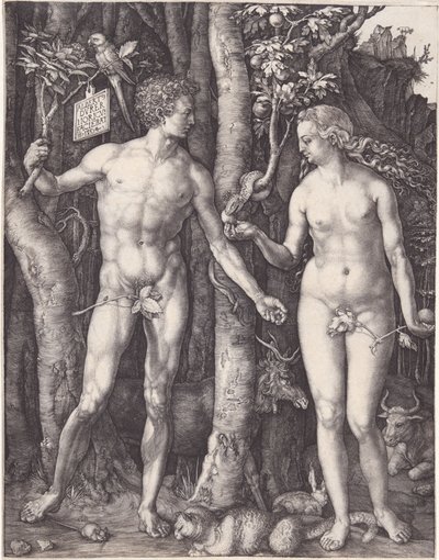  de Albrecht Dürer
