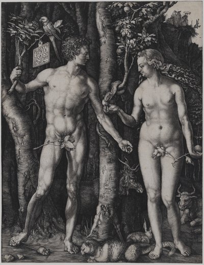  de Albrecht Dürer