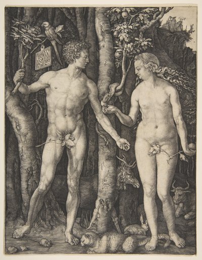  de Albrecht Dürer