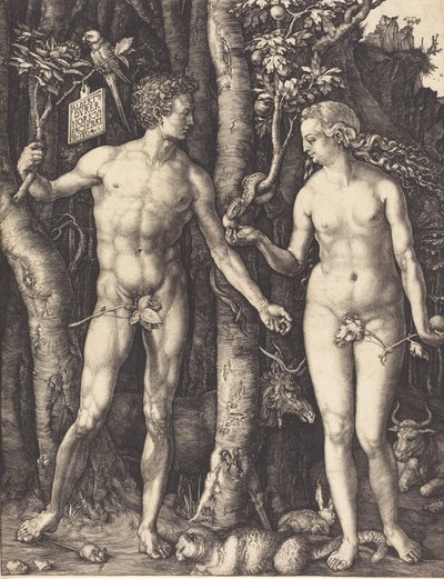 Adán y Eva, 1504 de Albrecht Dürer