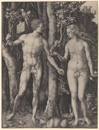  de Albrecht Dürer