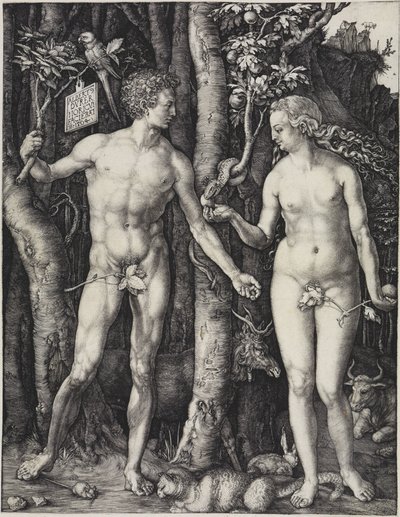  de Albrecht Dürer