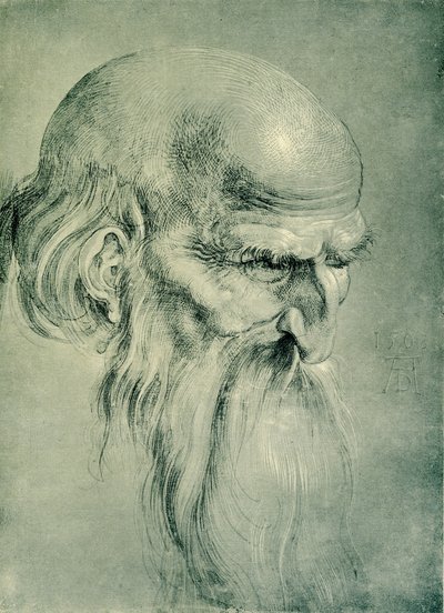 Cabeza de apóstol de Albrecht Dürer