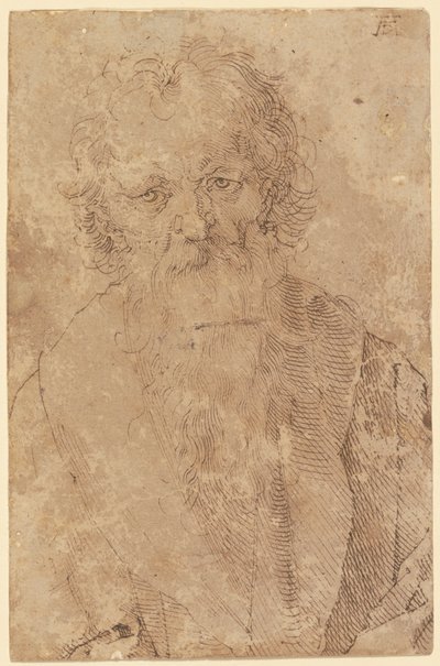  de Albrecht Dürer