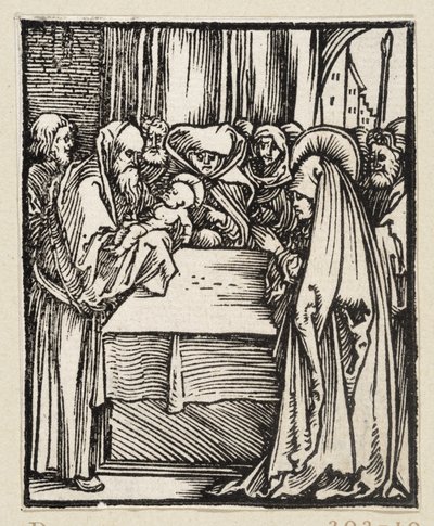  de Albrecht Dürer