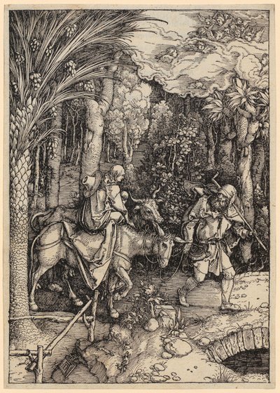  de Albrecht Dürer