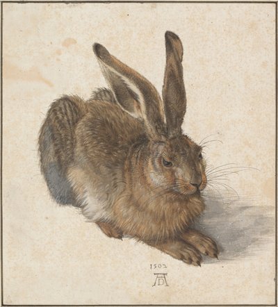 Hase, 1502 de Albrecht Dürer