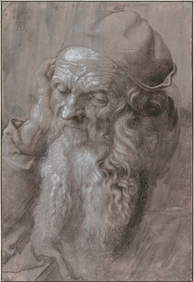 Cabeza de un Hombre Viejo, 1521 de Albrecht Dürer