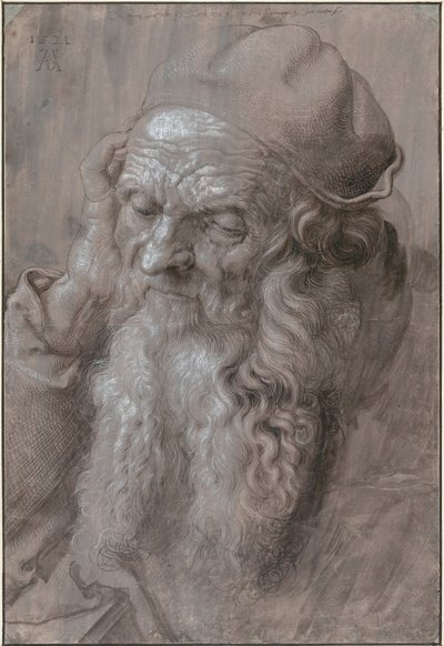 Cabeza de un anciano, 1521 de Albrecht Dürer