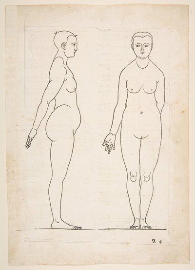 Ilustración de los Cuatro libros sobre la proporción humana de Durero, Núremberg, 1528 de Albrecht Dürer