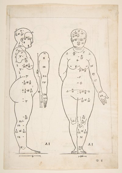 Ilustración de los Cuatro Libros sobre la Proporción Humana de Durero, Núremberg, 1528 de Albrecht Dürer
