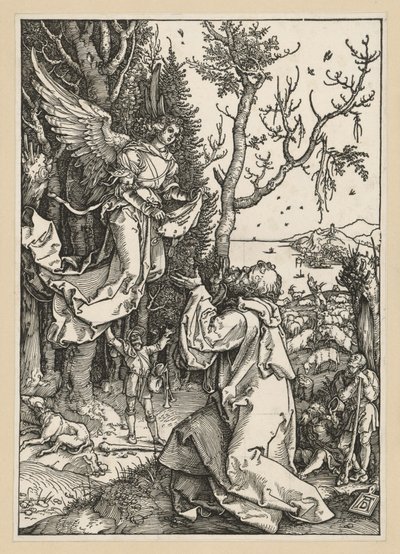 Joaquín y el ángel (Vida de la Virgen) de Albrecht Dürer
