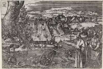 Paisaje con cañón (El gran cañón; El cañón) de Albrecht Dürer