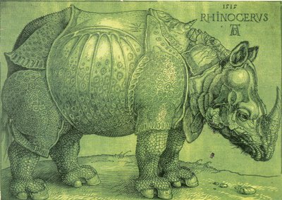 Latín:  Rhinocerus El Rinoceronte de Albrecht Dürer