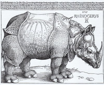 Latín:  Rhinocerus El Rinoceronte de Albrecht Dürer