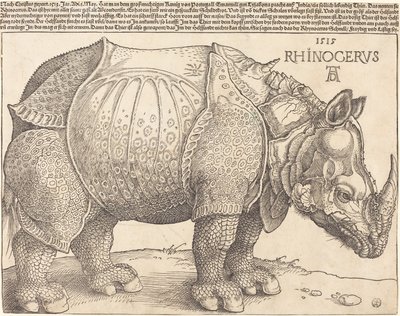 Latín:  Rhinocerus El Rinoceronte de Albrecht Dürer