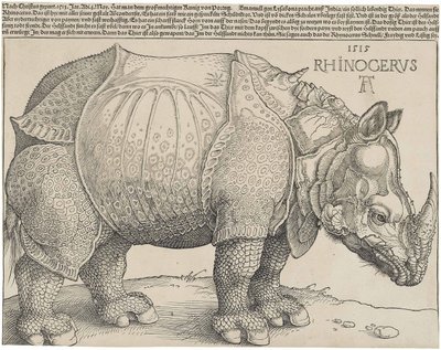 Latín:  Rhinocerus El Rinoceronte de Albrecht Dürer