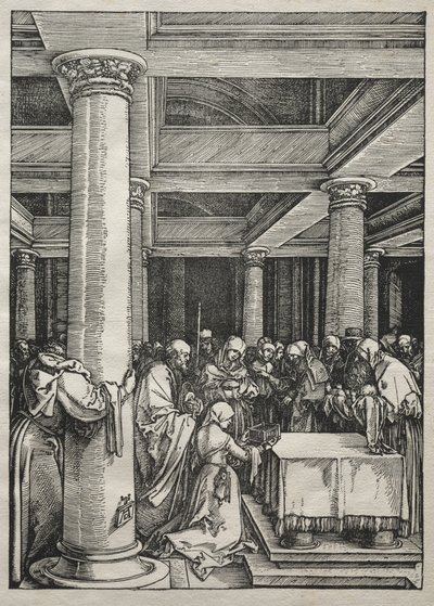 Vida de la Virgen: Presentación de Jesús en el Templo de Albrecht Dürer