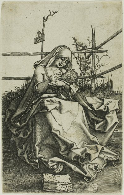 Madonna en un banco de hierba de Albrecht Dürer