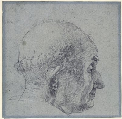 Cabeza de hombre de perfil de Albrecht Dürer
