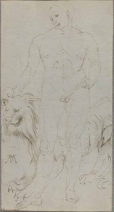 Desnudo masculino con un león (verso) de Albrecht Dürer