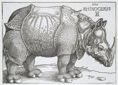 Neushoorn Rhinocerus (título sobre objeto) de Albrecht Dürer