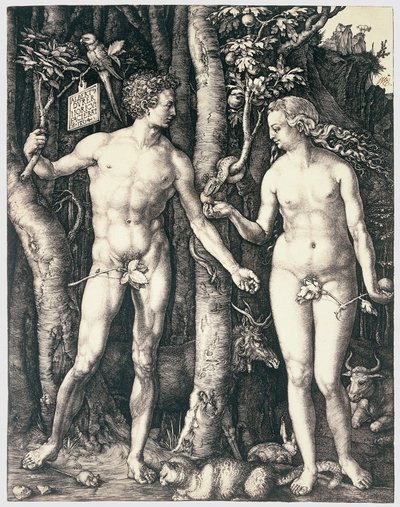 Pecado original de Albrecht Dürer