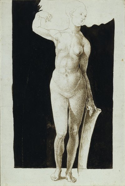 Estudio de proporciones de desnudo femenino con un escudo, 1500 de Albrecht Dürer