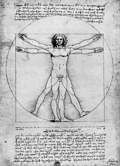 Proporciones de la figura humana, c1492, 1936 de Albrecht Dürer