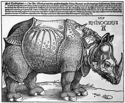 Rinoceronte, impresión dada a Maximiliano I por el Rey de Lisboa, 1515, 1936 de Albrecht Dürer