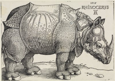 Rhinocerus (El rinoceronte) de Albrecht Dürer
