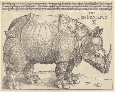  de Albrecht Dürer