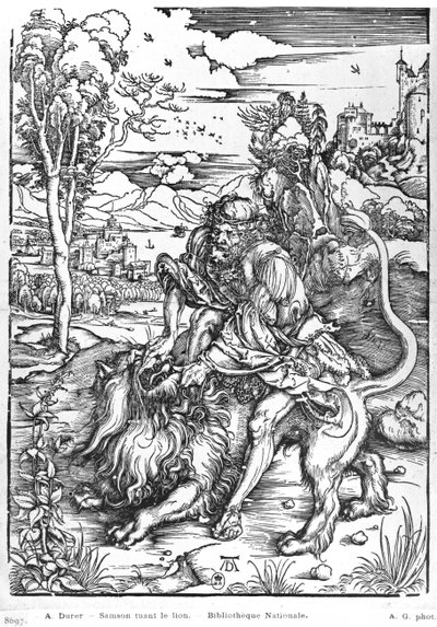 Sansón matando al león, c.1496-98 de Albrecht Dürer