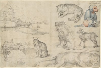 Bocetos de animales y paisajes, 1521 de Albrecht Dürer
